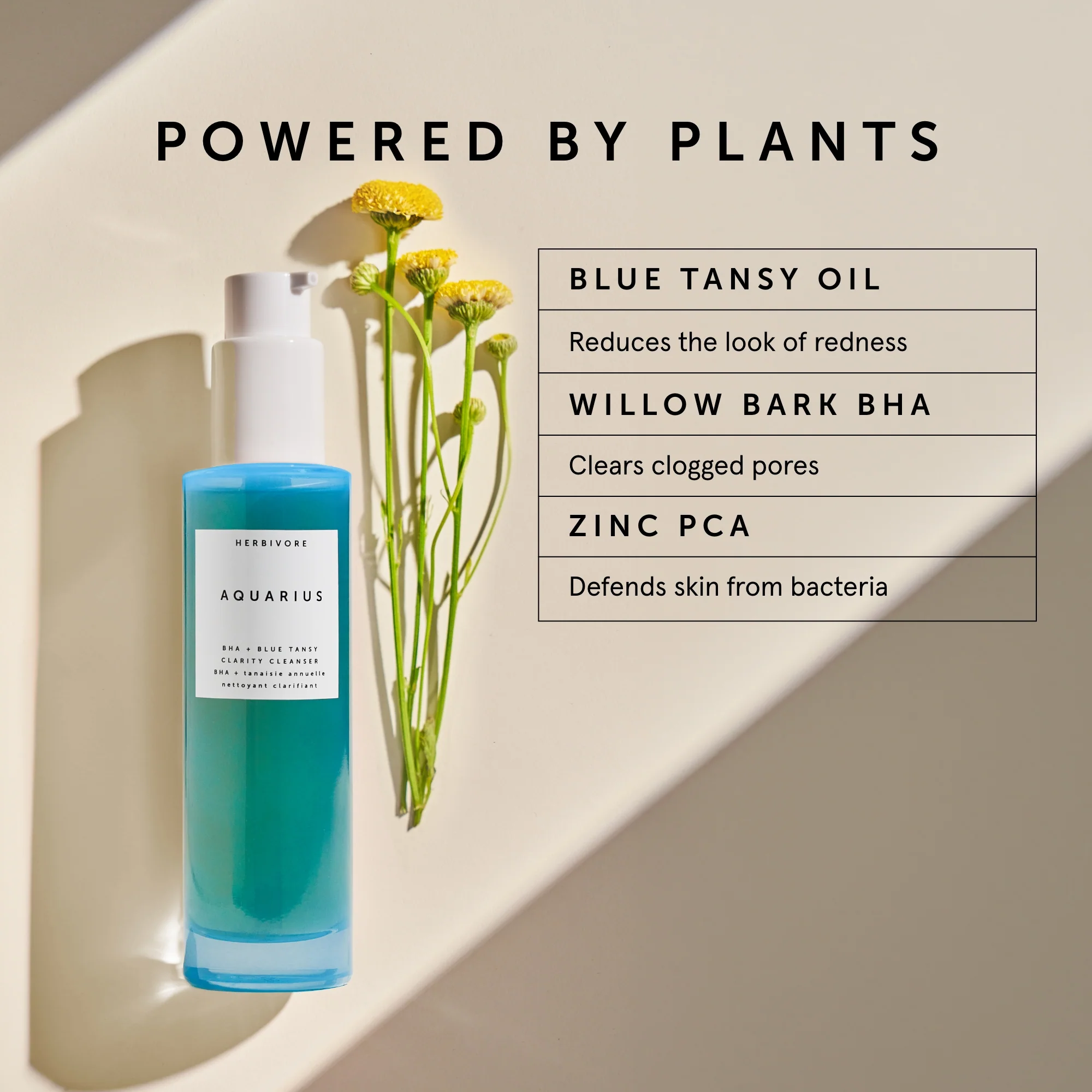 Aquarius BHA + Blue Tansy Clarity Cleanser - Image 3