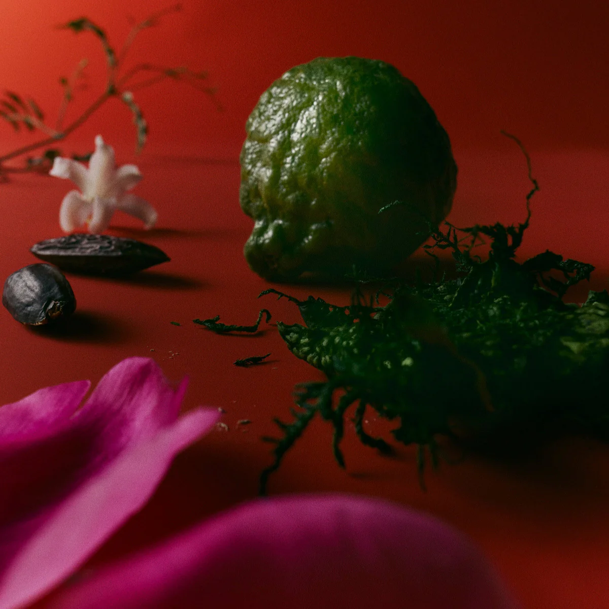 Hand Crème - Fleurir - Image 2