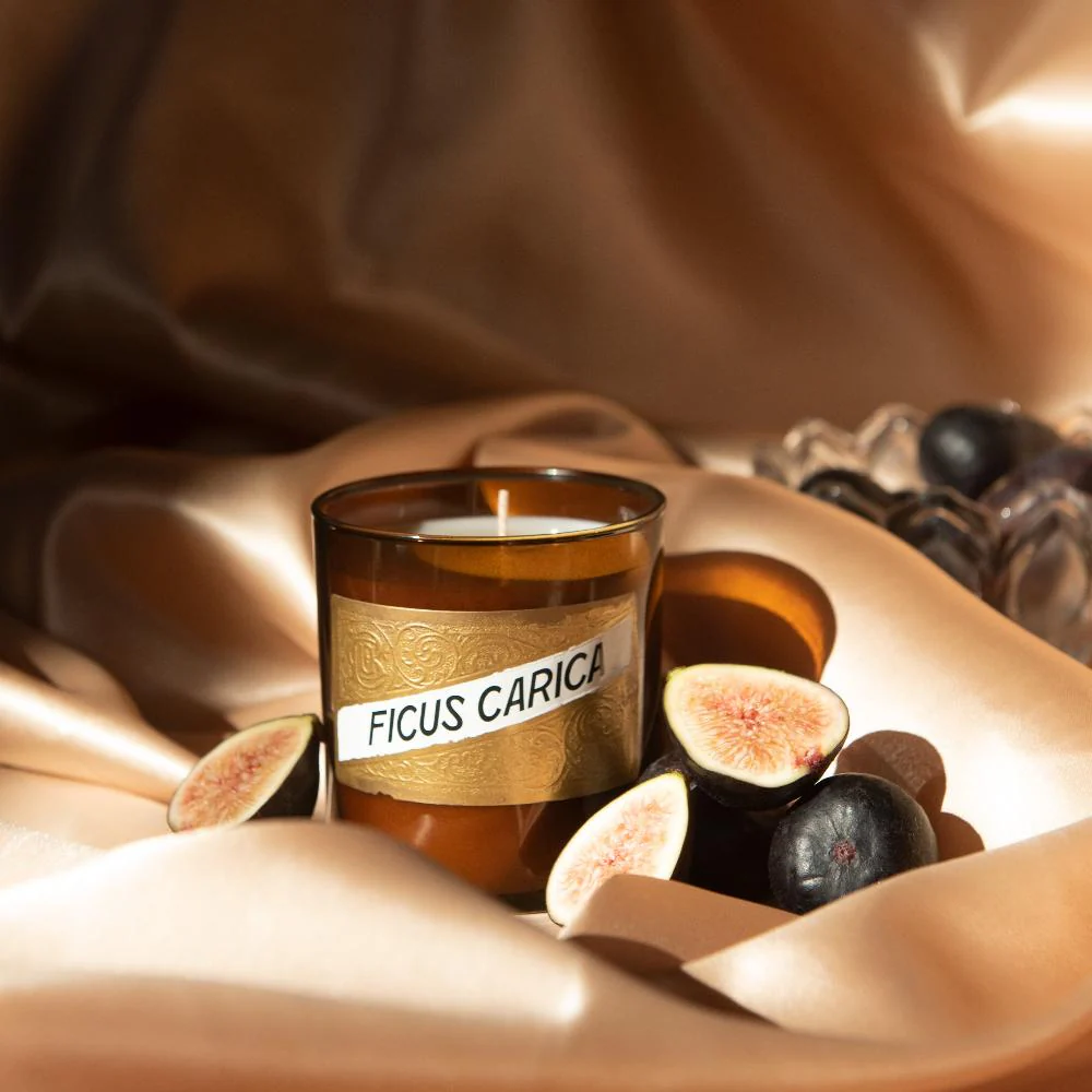 Fig (Ficus Carica) Candle - Image 4