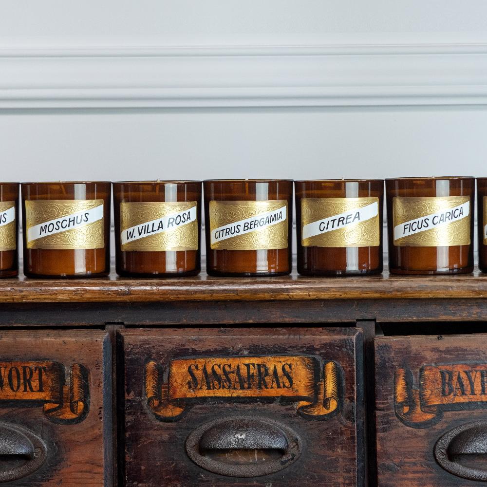 Iconic Collection - Bergamot (Citrus Bergamia) Candle - Image 6