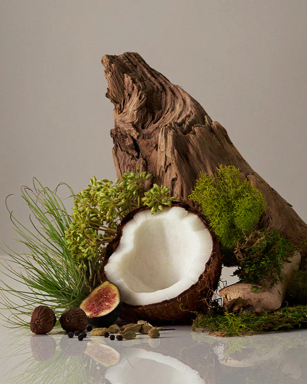 Cocomoi Perfume Oil - Image 3