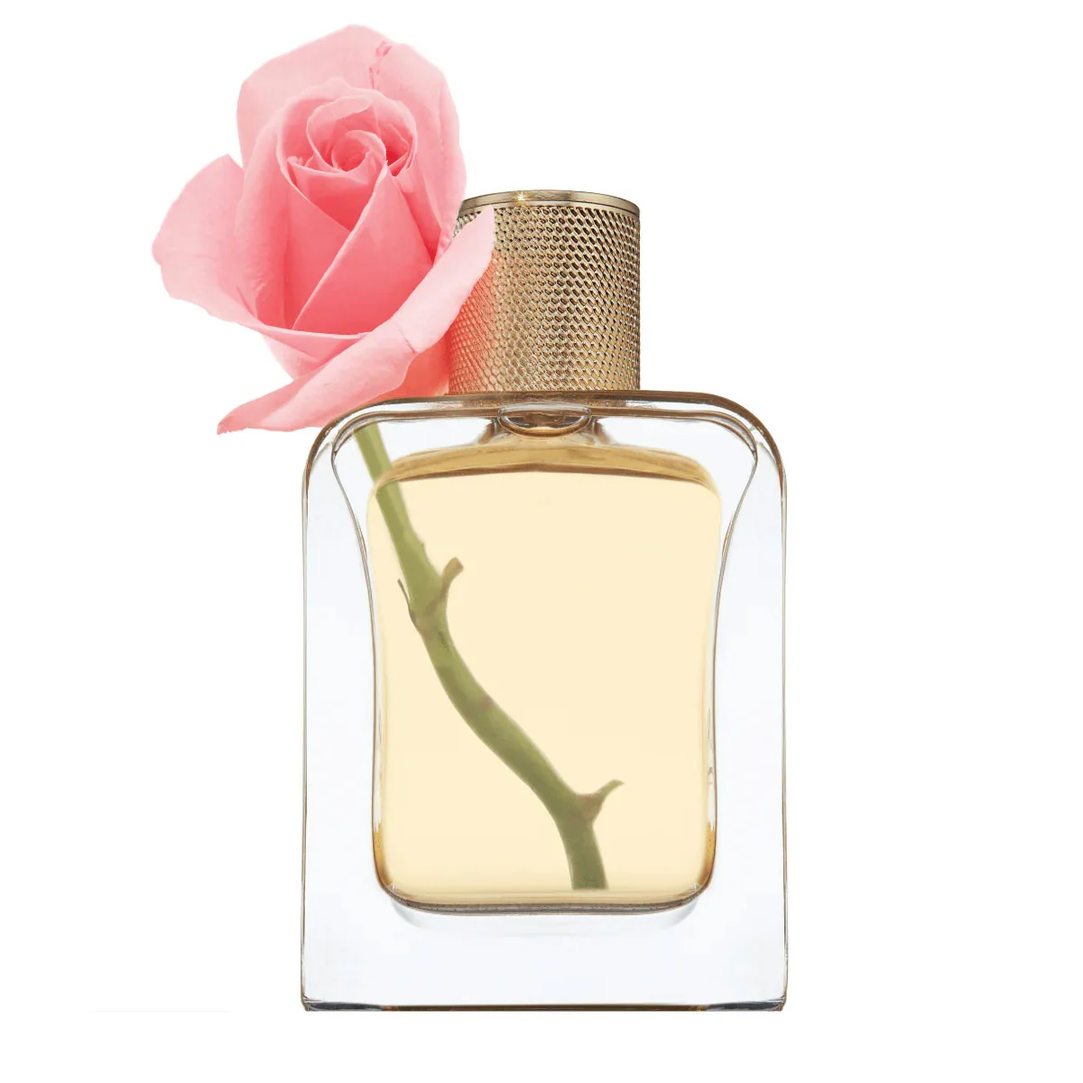 Eau De Parfum - Desert Rose - Image 3
