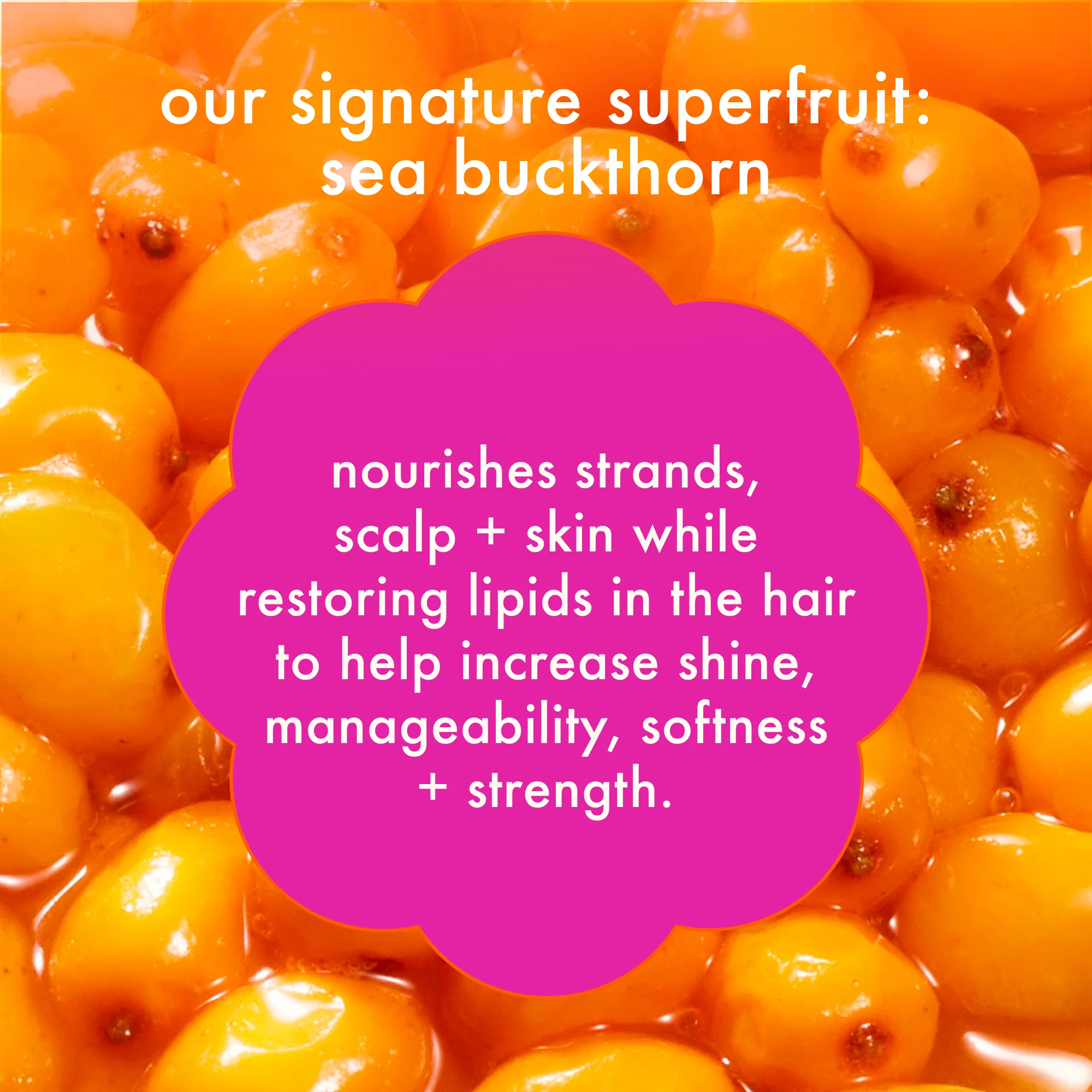 Normcore Signature Conditioner - Image 9