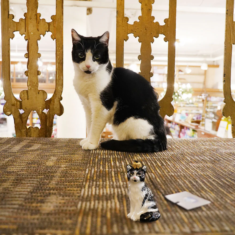 Joy To The World - The Apothecary Cat Ornament - Image 6