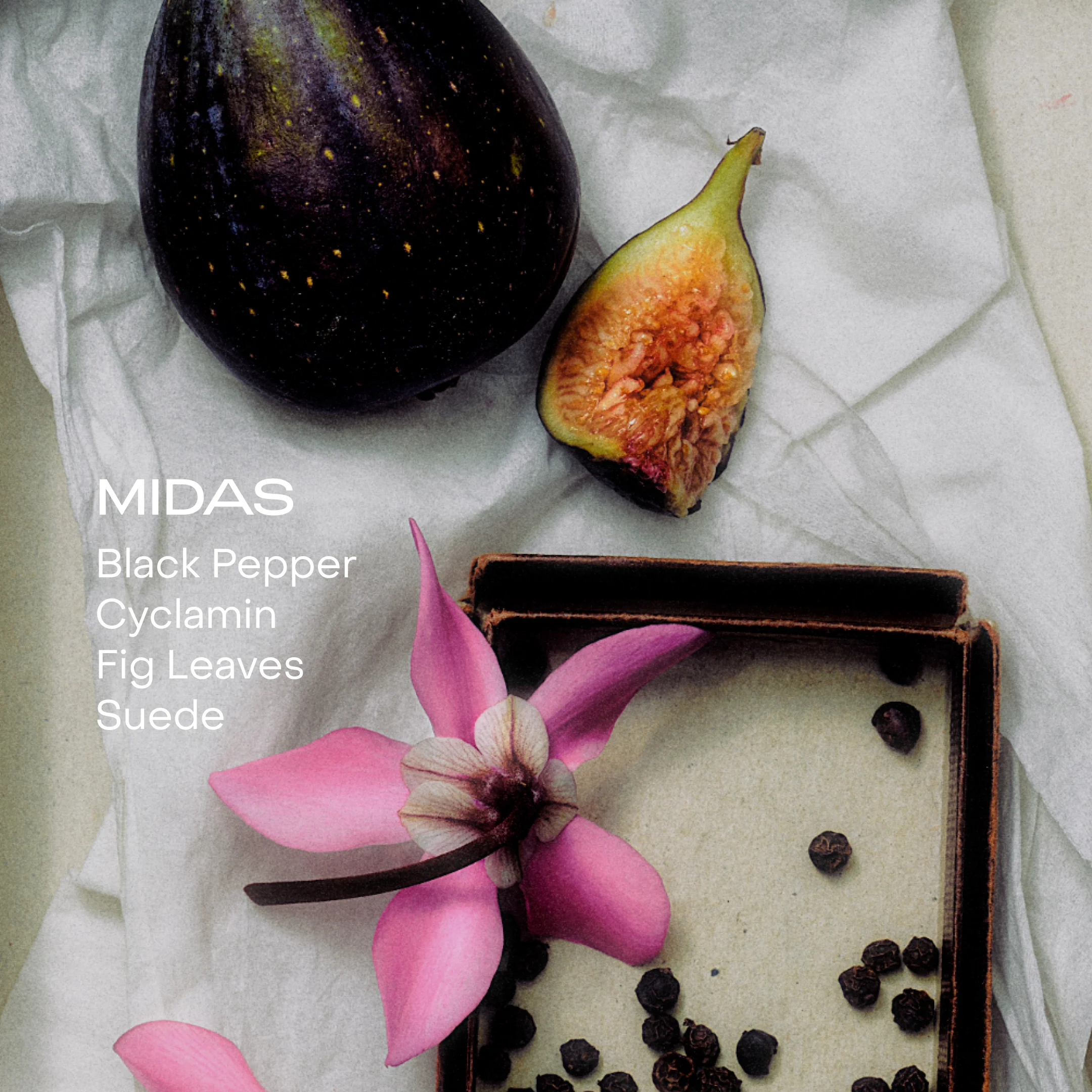 The Body Mist - Midas - Image 3