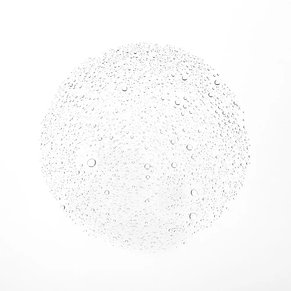 The Face Mist - Image 3
