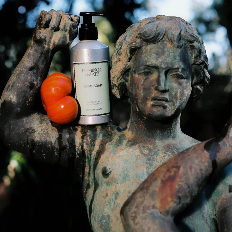Roma Heirloom Tomato Hand Soap - Image 2